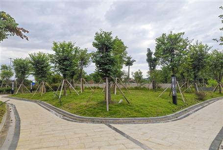 【提升“三力” 爭(zhēng)創(chuàng)佳績(jī)】三門(mén)江森林公園停車庫(kù)項(xiàng)目通過(guò)竣工驗(yàn)收