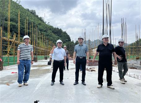 韋克雪到多個項目開展2025年二季度安全生產(chǎn)質(zhì)量綜合大檢查